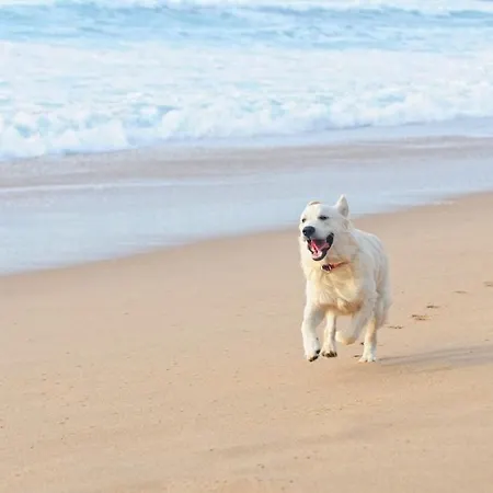 Boutique At The Zandvoort